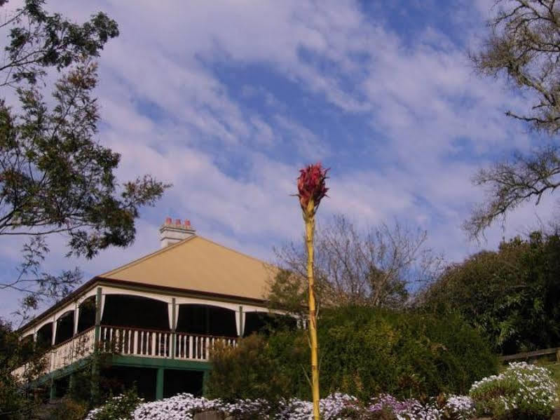 Mulla Villa Wollombi Exterior foto